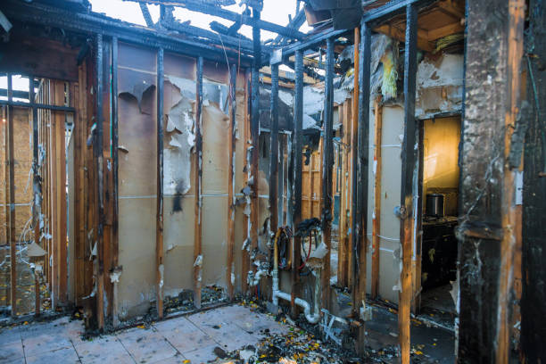 Professional Fire Damage Removal technician working in Taylorsville, MS